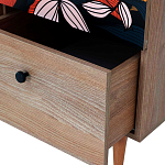 Шкаф с принтом Kario варинант исполнения - 3 | Loft Concept в Орле