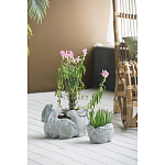 Кашпо A collection of baby rabbits варинант исполнения - 4 | Loft Concept в Орле