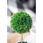 Декоративный искусственное растение Boxwood One варинант исполнения - 8 | Loft Concept в Орле