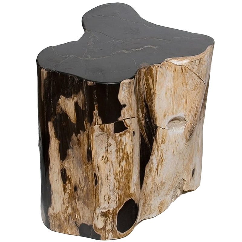 Стул из окаменелого дерева Petrified Wood Black Коричневый Бежевый в Орле | Loft Concept 
