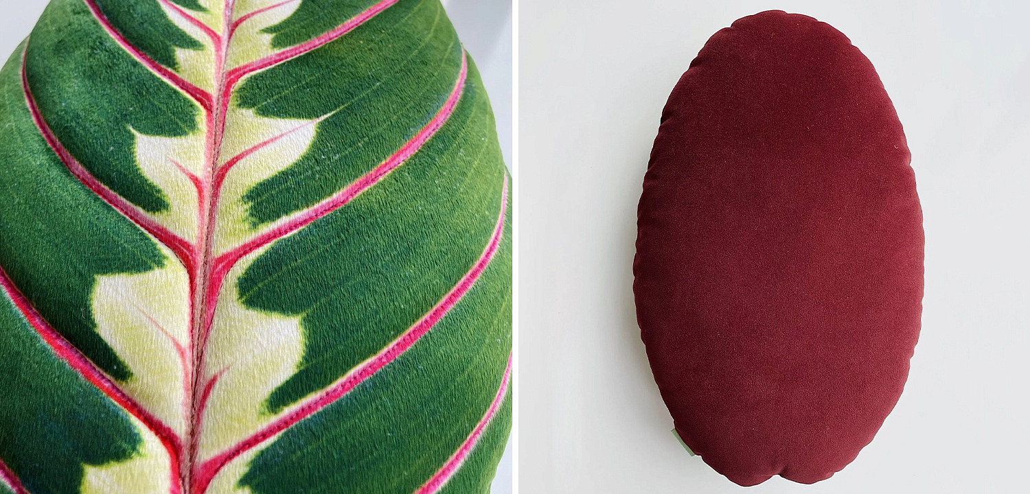 Декоративная подушка Botanical Cushion Maranta Trikolor Декоративная подушка Botanical Cushion Maranta Trikolor - Loft-Concept в Орле