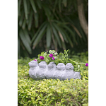 Кашпо Canaries варинант исполнения - 8 | Loft Concept в Орле