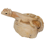 Статуэтка из дерева ящерица Animals of the World варинант исполнения - 2 | Loft Concept в Орле