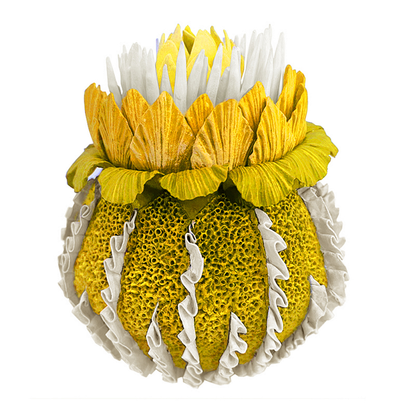 Желтый Экзотический фрукт Yellow Pandora Exotic Fruit  44 Желтый в Орле | Loft Concept 