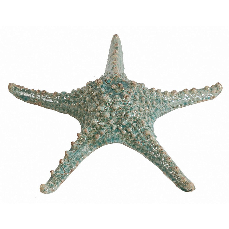 Аксессуар Starfish Бирюзовый Серый Аксессуар Starfish Бирюзовый Серый в Орле | Loft Concept