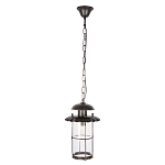 Уличный подвесной светильник с цилиндрическим плафоном на цепи Elysian Lanterns варинант исполнения - 1 | Loft Concept в Орле