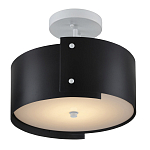 Потолочный светильник круглый светодиодный Semicircular White Panels чёрный варинант исполнения - 2 | Loft Concept в Орле