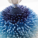 Статуэтка Синий тропический фрукт Tropical Fruit Pandora 4 варинант исполнения - 1 | Loft Concept в Орле