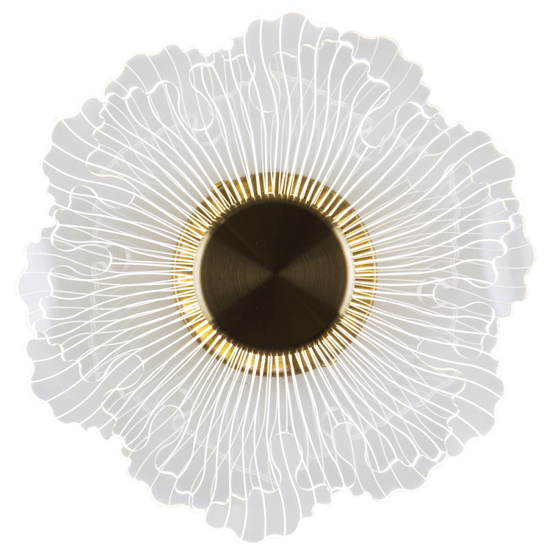 Бра в виде цветка Loggia White Flower Acrylic Wall Lamp Прозрачное Стекло Глянцевое золото Бра в виде цветка Loggia White Flower Acrylic Wall Lamp Прозрачное Стекло Глянцевое золото в Орле | Loft Concept