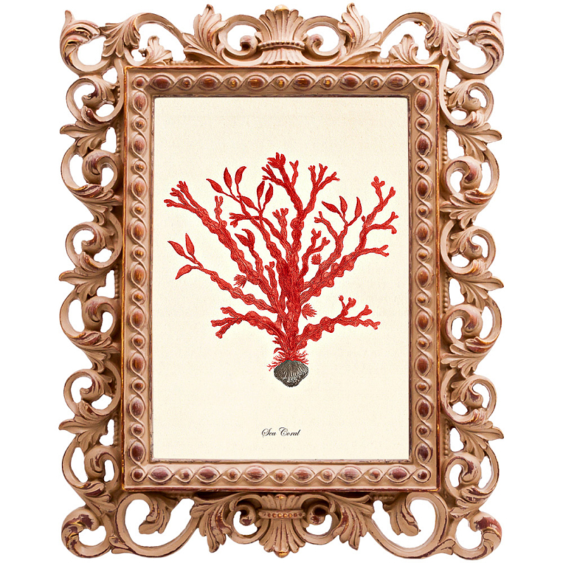 Постер Red Coral Poster 2 Бежевый Красный Постер Red Coral Poster 2 Бежевый Красный в Орле | Loft Concept