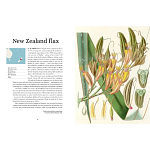 Прекрасно иллюстрированная книга более 100 ботанических произведений Plant Hunters Atlas варинант исполнения - 3 | Loft Concept в Орле