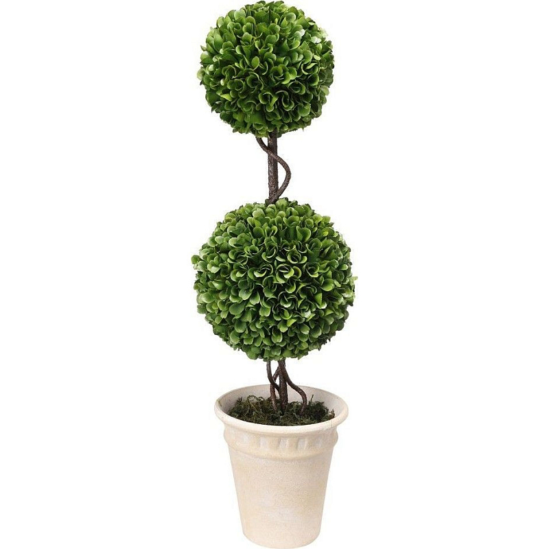 Декоративный искусственное растение Boxwood Зеленый Бежевый Коричневый Декоративный искусственное растение Boxwood Зеленый Бежевый Коричневый в Орле | Loft Concept