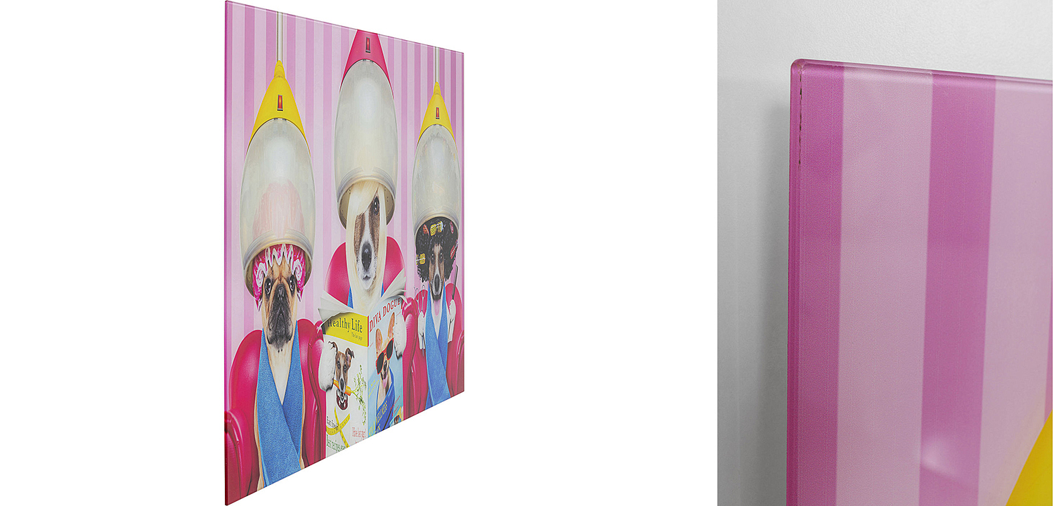 Картина Dogs in a beauty salon  - Loft-Concept в Орле