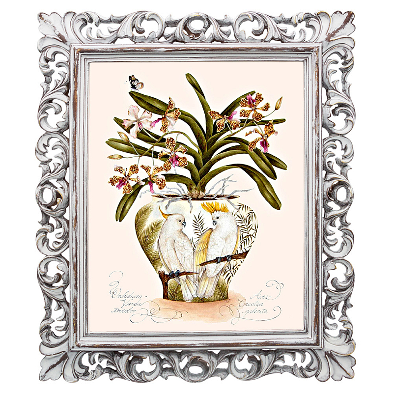 Постер White Parrots and Orchid Poster Мульти Белый винтажная патина   в Орле | Loft Concept 