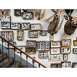 Книга Extraordinary Collections: French Interiors варинант исполнения - 11 | Loft Concept в Орле