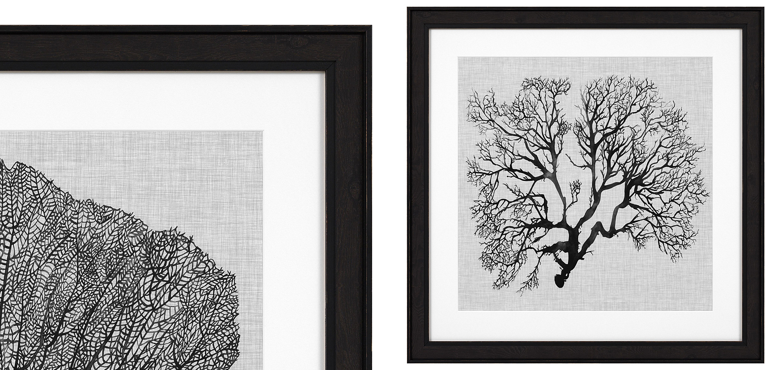 Комплект постеров Eichholtz Prints Shadow Sea Fans set of 4 Комплект постеров Eichholtz Prints Shadow Sea Fans set of 4 - Loft-Concept в Орле