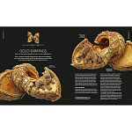 Книга Treasures of India From Antiquity to Modernity варинант исполнения - 3 | Loft Concept в Орле