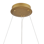 Люстра круглая с декоративными элементами в виде лепестков Round Light Flashing варинант исполнения - 5 | Loft Concept в Орле