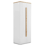 Шкаф платяной с белым глянцевым фасадом Grace of Furniture варинант исполнения - 1 | Loft Concept в Орле