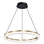 Люстра подвесная круглая светодиодная с золотым каркасом Ring Horizontal варинант исполнения - 3 | Loft Concept в Орле