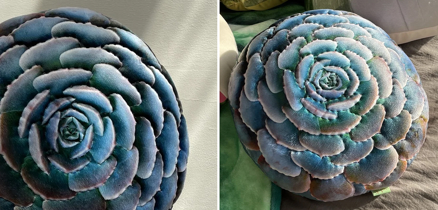 Декоративная подушка Botanical Cushion Succulentus Декоративная подушка Botanical Cushion Succulentus - Loft-Concept в Орле