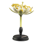 Статуэтка Tilia варинант исполнения - 2 | Loft Concept в Орле