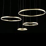Люстра подвесная светодиодная Jewelry Ring варинант исполнения - 4 | Loft Concept в Орле
