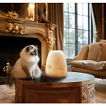 Настольная лампа в форме трапеции из натурального камня Soft Glow of Stone варинант исполнения - 5 | Loft Concept в Орле