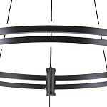 Люстра светодиодная с 2-мя плафонами в форме колец из акрила и алюминия с пультом для регулировки света Ring Horizontal Black варинант исполнения - 3 | Loft Concept в Орле