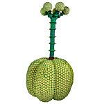 Статуэтка Зеленый тропический фрукт Pandora Tropical Light Green 69 варинант исполнения - 3 | Loft Concept в Орле