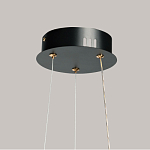 Люстра с прозрачным волнистым плафоном в форме цветка Ethereal Bloom варинант исполнения - 11 | Loft Concept в Орле