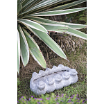 Кашпо Canaries варинант исполнения - 3 | Loft Concept в Орле