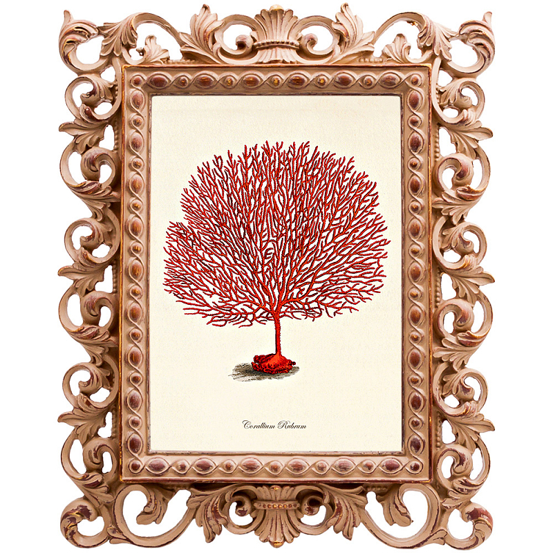 Постер Red Coral Poster 3 Бежевый Красный в Орле | Loft Concept 