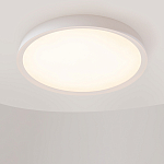 Потолочный светильник Incognito 2700-4000К 46Вт варинант исполнения - 4 | Loft Concept в Орле