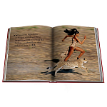 Лимитированная подарочная большая книга CARTIER Panthère варинант исполнения - 12 | Loft Concept в Орле