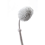 Статуэтка тропический фрукт Pandora Tropical Fruit Tall White варинант исполнения - 1 | Loft Concept в Орле