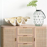 Блюдо декоративное в виде ракушки Seashell варинант исполнения - 1 | Loft Concept в Орле