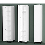 Шкаф-пенал белый с зеркальной дверцей Strict Lines варинант исполнения - 5 | Loft Concept в Орле