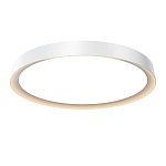 Потолочный светильник Incognito 2700-4000К 46Вт варинант исполнения - 1 | Loft Concept в Орле