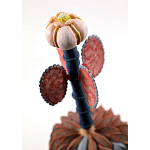 Статуэтка тропический фрукт Pandora Tropical Fruit Orange Brown Pink Flower варинант исполнения - 1 | Loft Concept в Орле