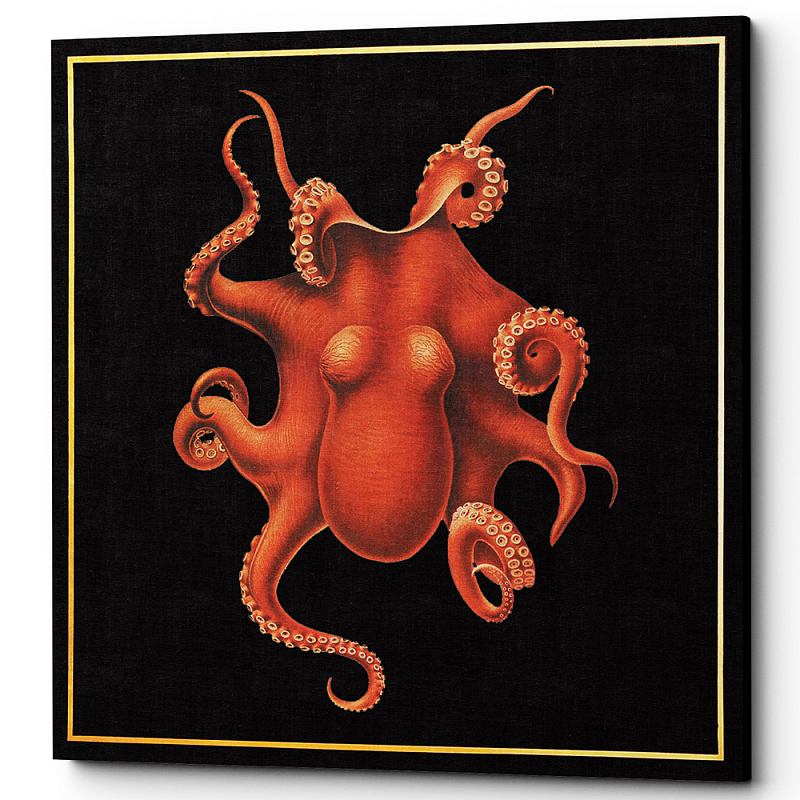 Постер Octopus Poster Черный Красный Постер Octopus Poster Черный Красный в Орле | Loft Concept