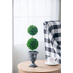 Декоративный искусственное растение Double boxwood варинант исполнения - 5 | Loft Concept в Орле