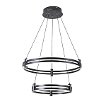 Люстра светодиодная с 2-мя плафонами в форме колец из акрила и алюминия с пультом для регулировки света Ring Horizontal Black варинант исполнения - 4 | Loft Concept в Орле