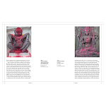 Книга Tantra: Enlightenment to Revolution варинант исполнения - 4 | Loft Concept в Орле