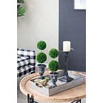 Декоративный искусственное растение Double boxwood варинант исполнения - 8 | Loft Concept в Орле