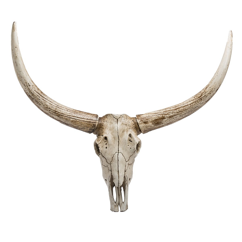 Череп быка Bull Skull Бежево-серый Череп быка Bull Skull Бежево-серый в Орле | Loft Concept