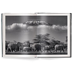 Книга Beusker. Look into my Eyes варинант исполнения - 2 | Loft Concept в Орле