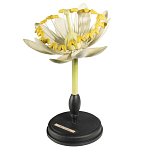 Статуэтка Tilia варинант исполнения - 3 | Loft Concept в Орле