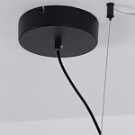 Люстра подвесная светодиодная черный металл Ring Horizontal варинант исполнения - 13 | Loft Concept в Орле