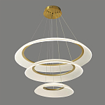Люстра подвесная с 3-мя кольцевыми светодиодными лампами Catcher варинант исполнения - 1 | Loft Concept в Орле